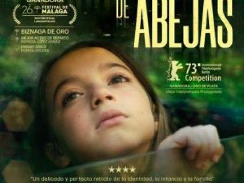 Cartel pelicula