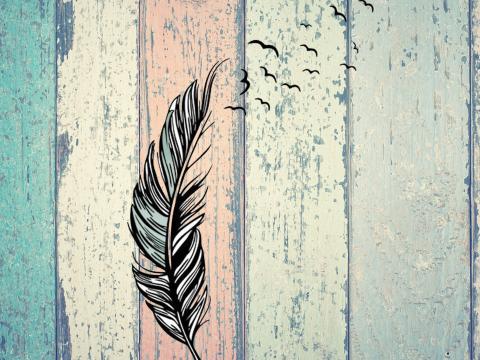 Una pluma