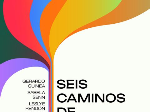 Seis caminos de diversidad funcional