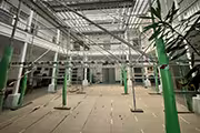 Centro miniatura