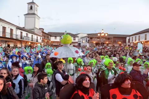 Carnaval Valdemoro asistentes