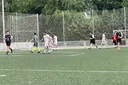 Partido de futbol