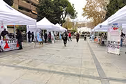 Feria en la calle