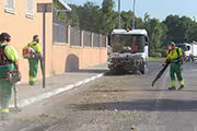 Limpieza de hojas y basura