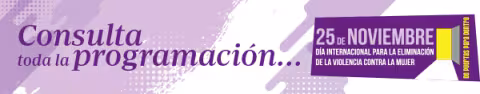 Cartel evento 25n