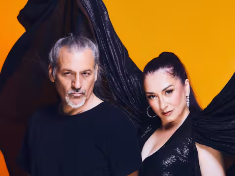 Artistas musicales
