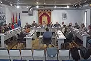Pleno miniatura 