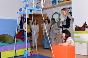 Visita
