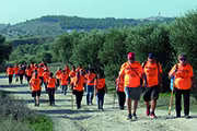 Marcha del mayor